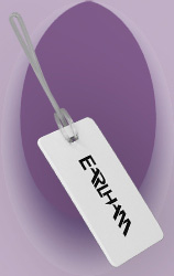 Click for Larger Image