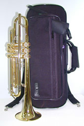 With Pro tec Contoured Case