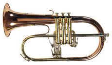 AMR Flugel Horn