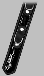 Click for Larger Image