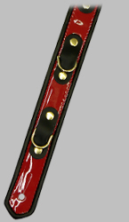 Click for Larger Image