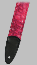 Click for Larger Image