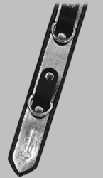 Click for Larger Image