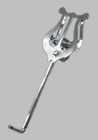 Trumpet Lyre - Click for Larger Image