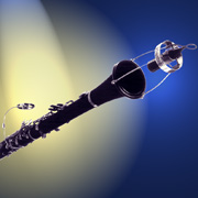 Click for Larger Image