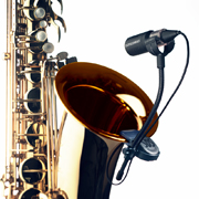 Click for Larger Image